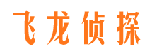 陆良侦探公司